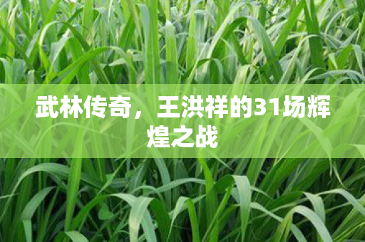 王洪祥的31场辉煌之战图片