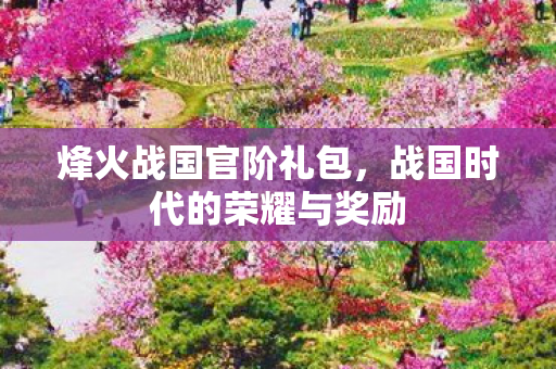 战国时代的荣耀与奖励图片
