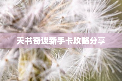天书奇谈新手卡攻略分享图片