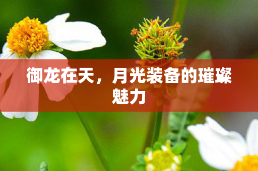 月光装备的璀璨魅力图片