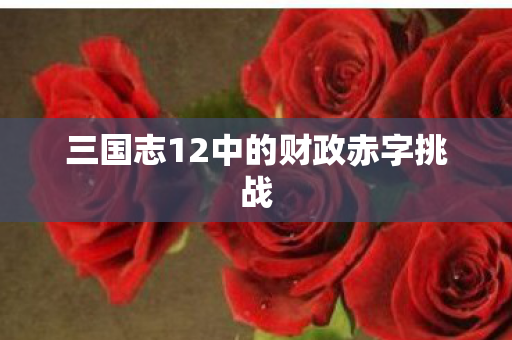 三国志12中的财政赤字挑战图片