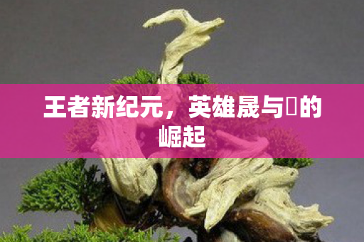 英雄晟与暃的崛起图片