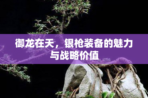 银枪装备的魅力与战略价值图片
