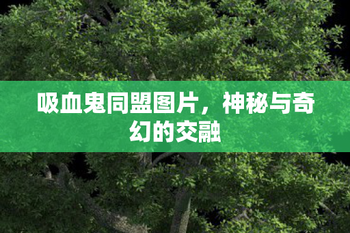 神秘与奇幻的交融图片