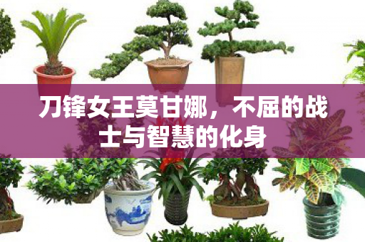 不屈的战士与智慧的化身图片