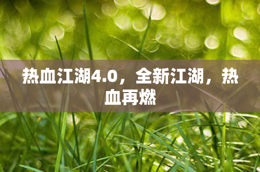 热血江湖4图片