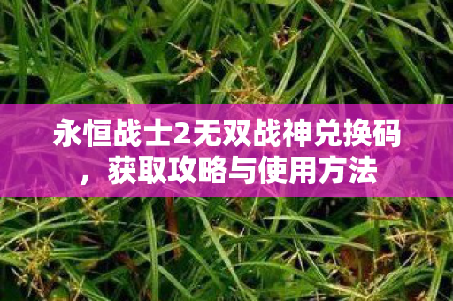 永恒战士2无双战神兑换码图片