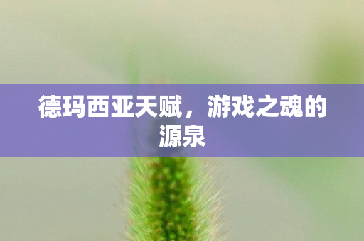 游戏之魂的源泉图片