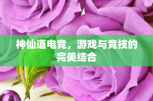 游戏与竞技的完美结合图片