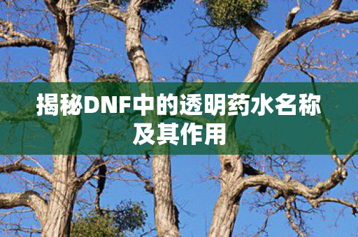 揭秘DNF中的透明药水名称及其作用图片