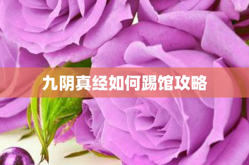 九阴真经如何踢馆攻略图片