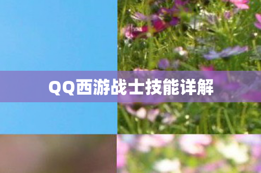 QQ西游战士技能详解图片