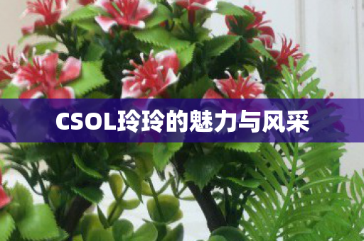 CSOL玲玲的魅力与风采图片