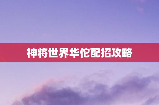神将世界华佗配招攻略图片
