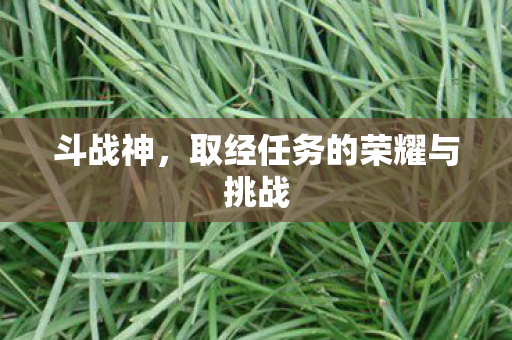 取经任务的荣耀与挑战图片