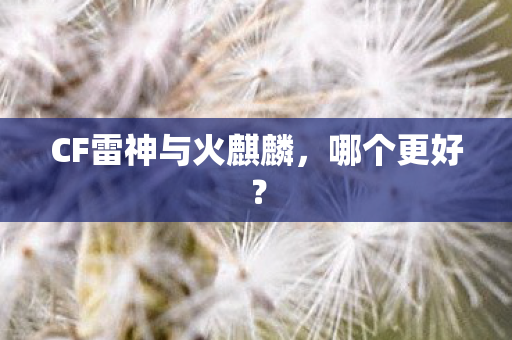 CF雷神与火麒麟图片