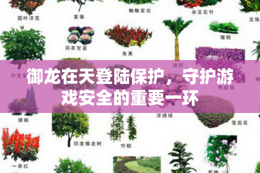守护游戏安全的重要一环图片