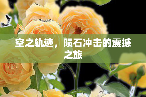 陨石冲击的震撼之旅图片