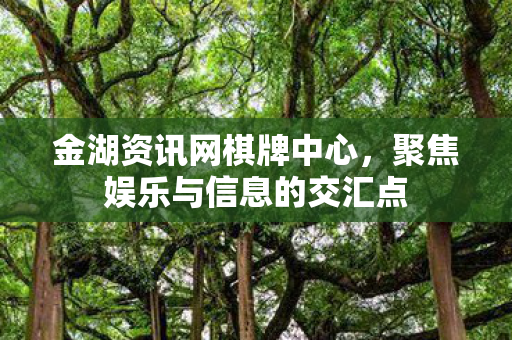聚焦娱乐与信息的交汇点图片