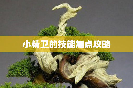 小精卫的技能加点攻略图片