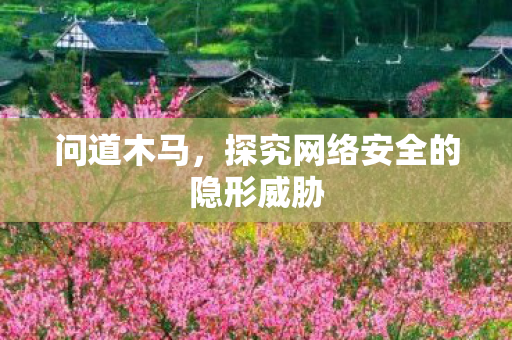 探究网络安全的隐形威胁图片