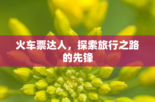 探索旅行之路的先锋图片