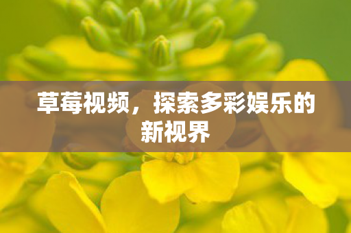 探索多彩娱乐的新视界图片
