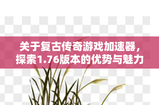 关于复古传奇游戏加速器图片