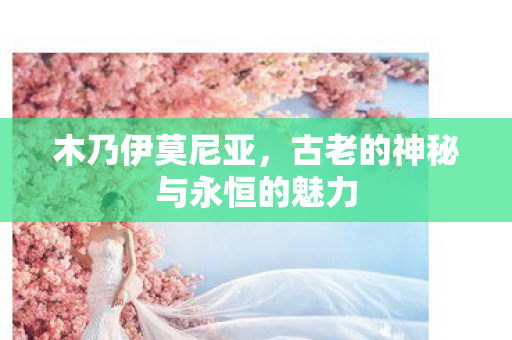 古老的神秘与永恒的魅力图片