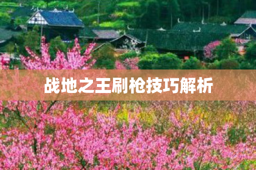 战地之王刷枪技巧解析图片