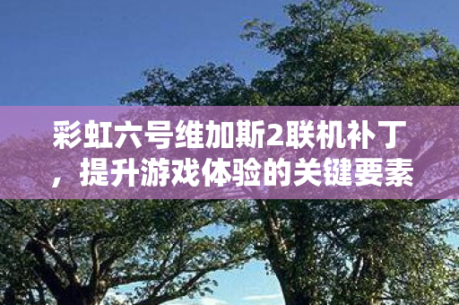彩虹六号维加斯2联机补丁图片
