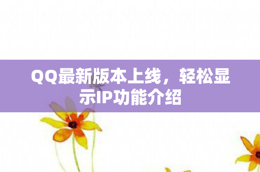 轻松显示IP功能介绍图片