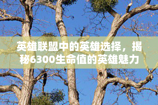 揭秘6300生命值的英雄魅力图片