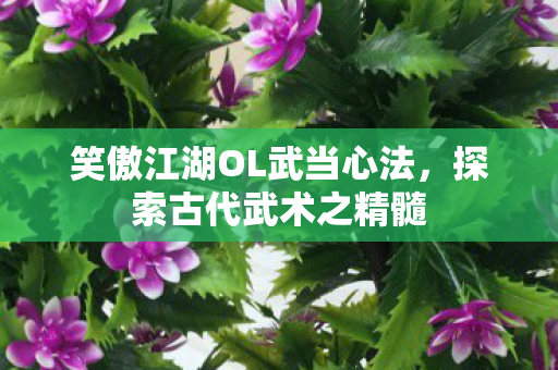 笑傲江湖OL武当心法图片