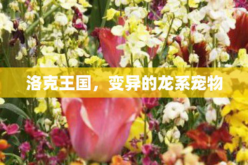 变异的龙系宠物图片