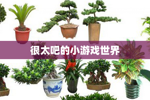 很太吧的小游戏世界图片