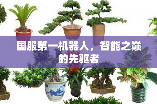 智能之巅的先驱者图片