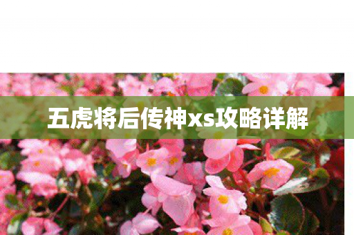 五虎将后传神xs攻略详解图片