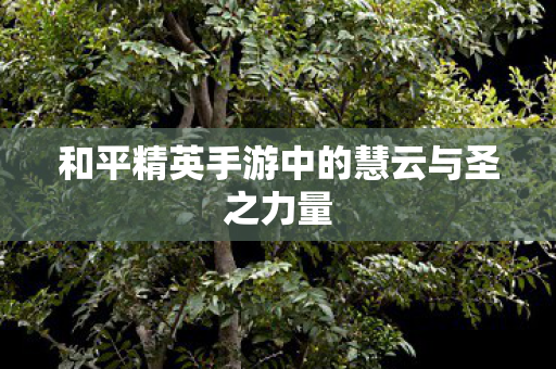 和平精英手游中的慧云与圣之力量图片