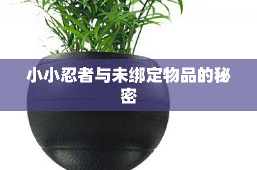 小小忍者与未绑定物品的秘密图片