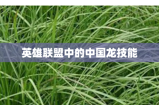 英雄联盟中的中国龙技能图片