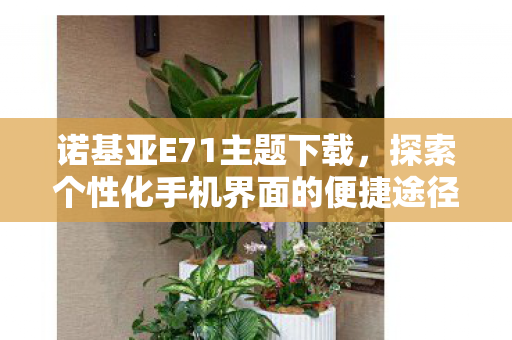 探索个性化手机界面的便捷途径图片