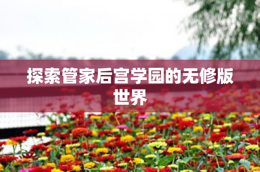 探索管家后宫学园的无修版世界图片