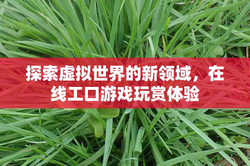 探索虚拟世界的新领域图片
