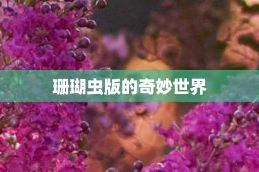 珊瑚虫版的奇妙世界图片