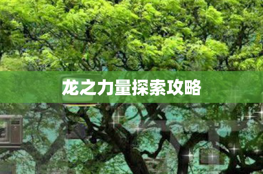 龙之力量探索攻略图片