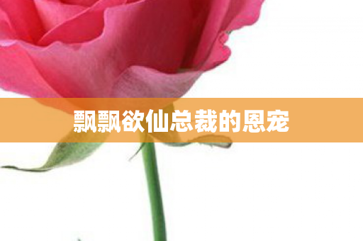 飘飘欲仙总裁的恩宠图片