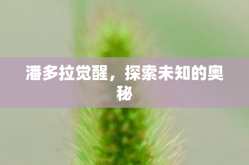 探索未知的奥秘图片