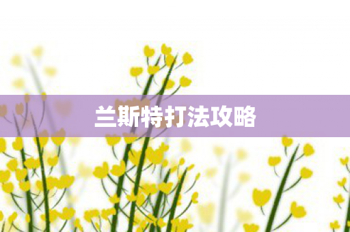 兰斯特打法攻略图片