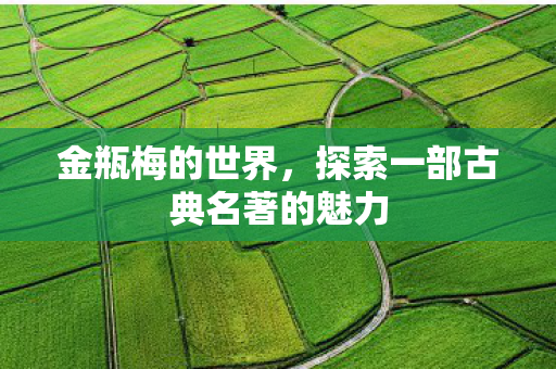 探索一部古典名著的魅力图片